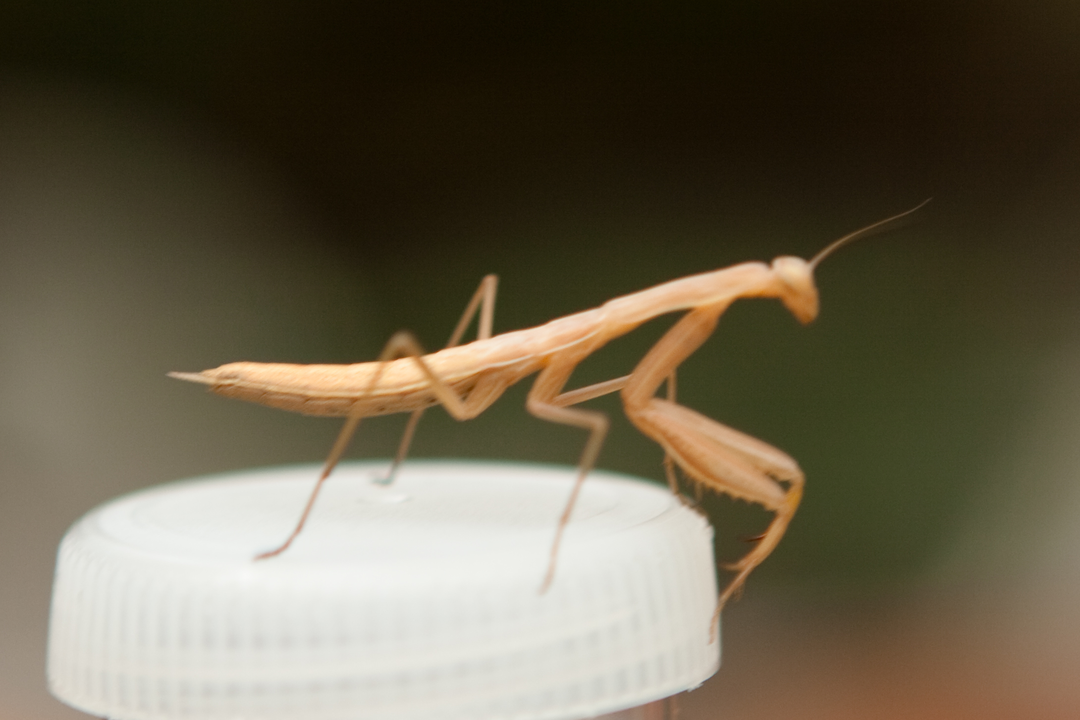 vakantie 2009 het sluisje-022.jpg